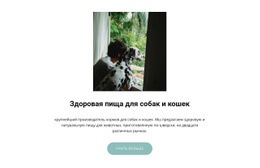 Корм Для Домашних Животных — Многофункциональная Тема WordPress