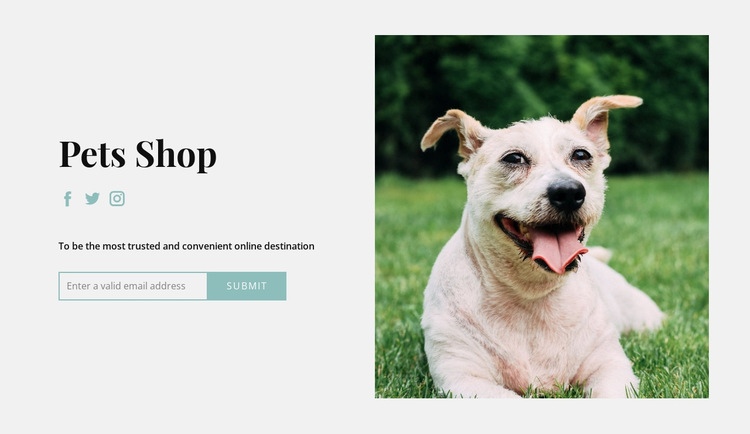 Köp allt till din hund Html webbplatsbyggare