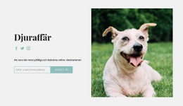 Webbplatsdesign Köp Allt Till Din Hund För Alla Enheter