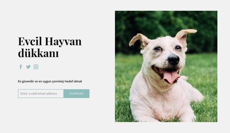 Köpeğiniz için her şeyi satın alın CSS Şablonu