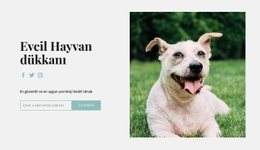 Köpeğiniz Için Her Şeyi Satın Alın - HTML Sayfası Şablonu