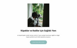 Evcil Hayvanlar Için Yiyecek - Kullanımı Kolay Tek Sayfalık Şablon