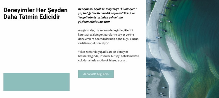 Dünyanın en iyi plajları Web Sitesi Mockup'ı