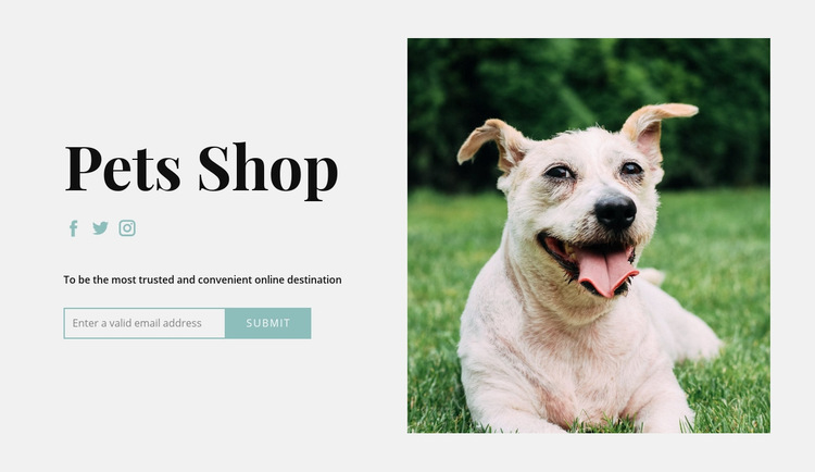 Buy everything for your dog Web Page Design