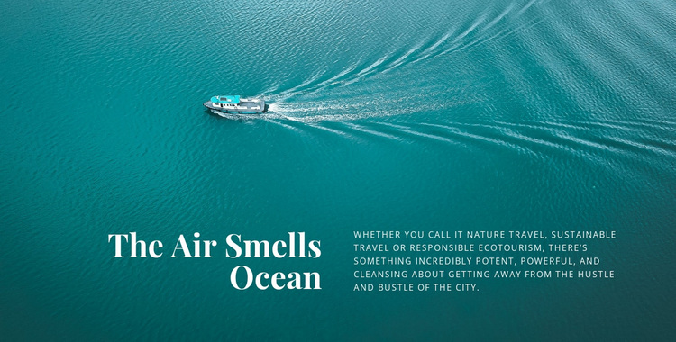 The air smells ocean Website Design