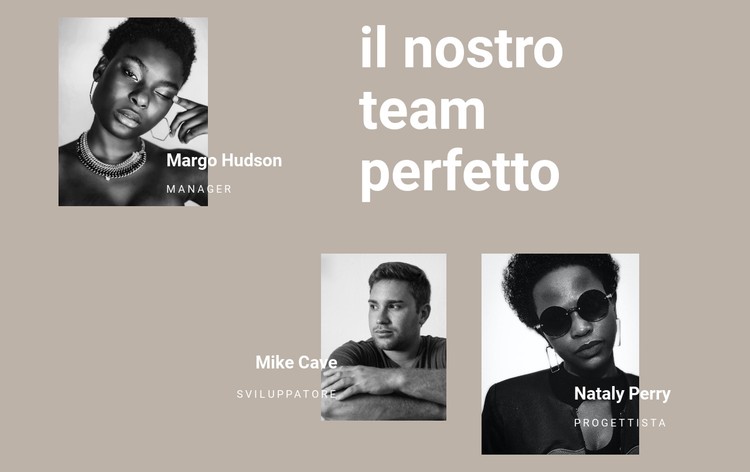 Team di parrucchieri Modello CSS