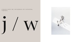 Diseño De Sitio Web Multipropósito Para Colección De Invierno