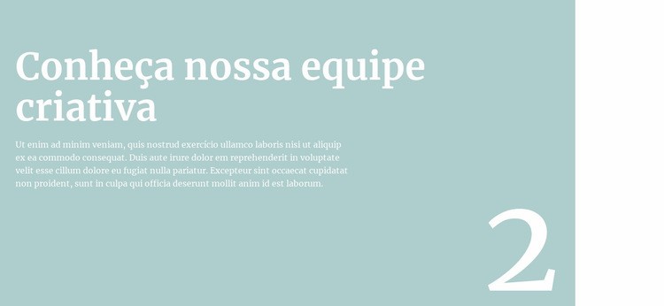 Vamos falar sobre a equipe Tema WordPress