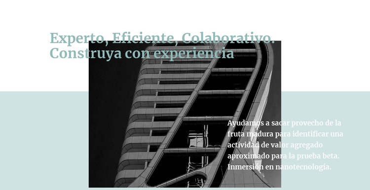 Expertos en construcción Maqueta de sitio web