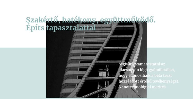 Építési szakértők CSS sablon