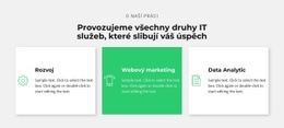 Úspěšná IT Společnost – Webové Stránky Elektronického Obchodu