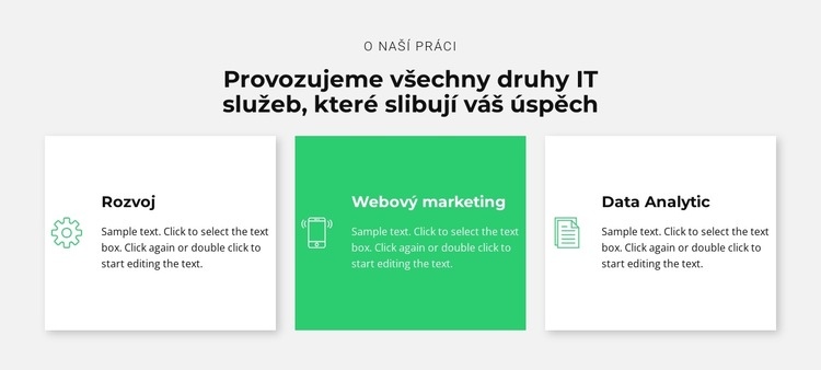 Úspěšná IT společnost Webový design