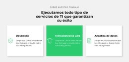 Creador De Sitios Web Para Exitosa Empresa De TI