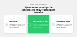 Exitosa Empresa De TI - Diseño Web Polivalente