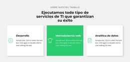 Exitosa Empresa De TI - Sitio Web De Comercio Electrónico