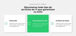 Exitosa Empresa De TI - Tema De WordPress Profesional Personalizable