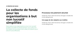 Divers Blocs De Texte - Thème WordPress Réactif