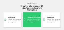 Framgångsrik IT-Företag - E-Handelswebbplats