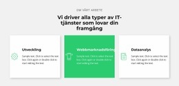 Framgångsrik IT-Företag - Premiummall