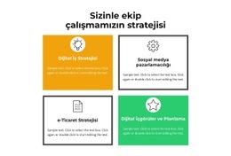 Ekip Çalışmamız - Özelleştirilebilir Profesyonel Açılış Sayfası