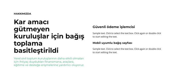 Çeşitli metin blokları Web Sitesi Şablonu