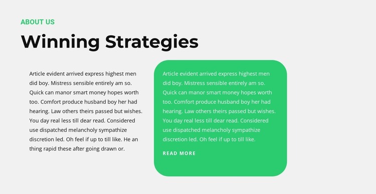 Leader strategies HTML Template