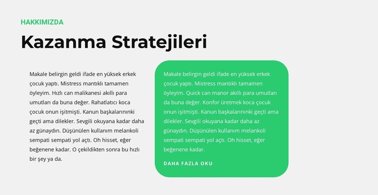 Lider stratejileri HTML Şablonu