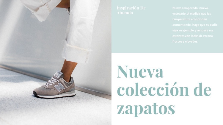 Nueva colección de zapatos Diseño de páginas web