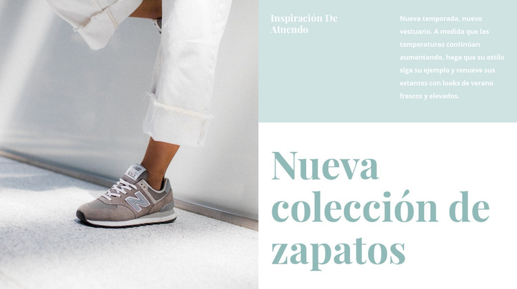 Nueva colección de zapatos Plantilla de sitio web