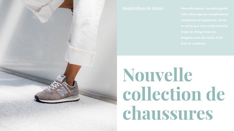 Nouvelle collection de chaussures Thème WordPress