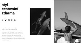 Ty A Oceán - Vestavěná Funkce Cms