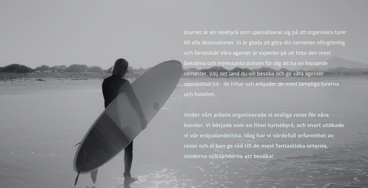 Surfläger WordPress -tema