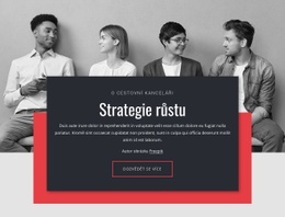 Růstové Strategie V Podnikání – Šablona Stránky HTML