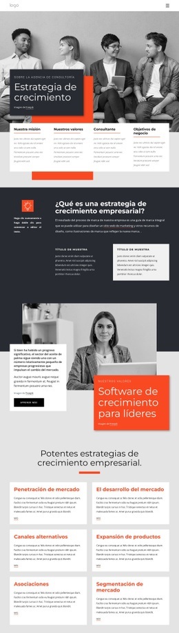 Diseño De Sitio Web Premium Para Consultores De Estrategia De Crecimiento