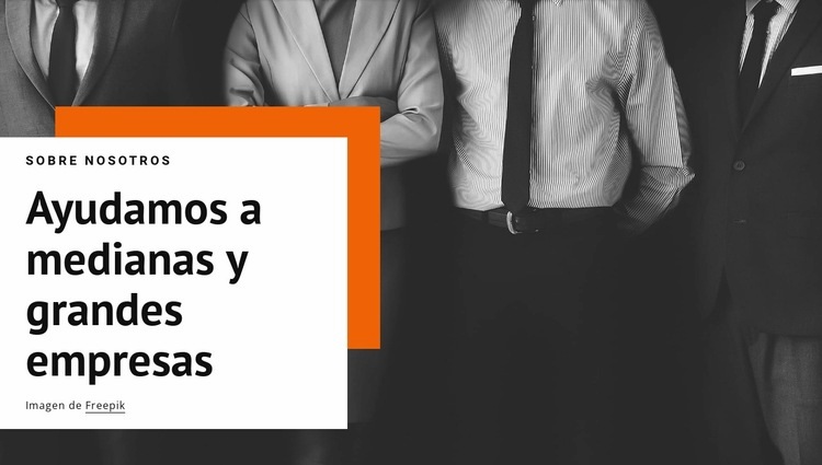 Ayudamos a las medianas empresas Diseño de páginas web