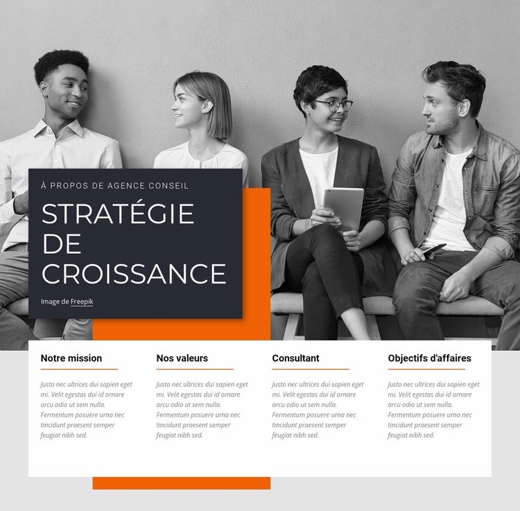 Stratégies de croissance Conception de site Web