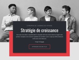 Stratégies De Croissance En Entreprise