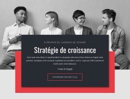 Stratégies De Croissance En Entreprise