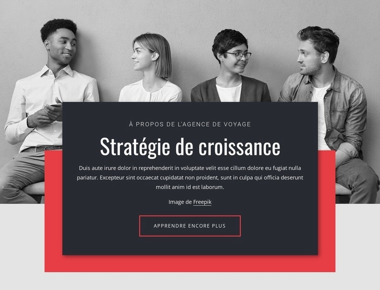 Stratégies de croissance en entreprise Maquette de site Web