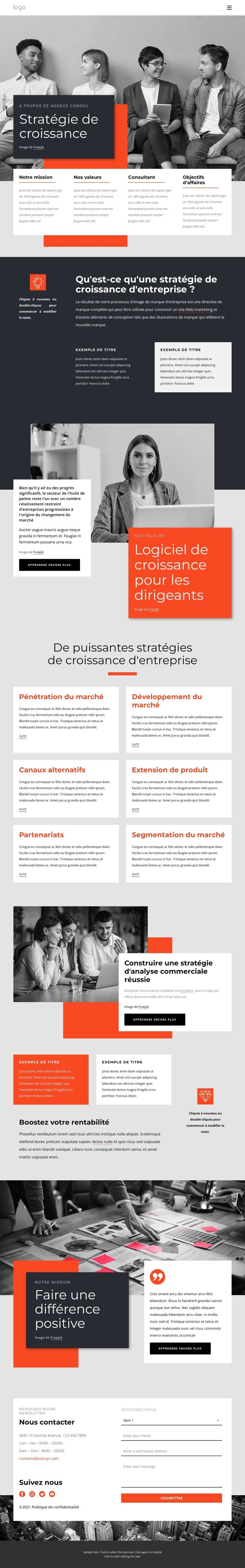 Consultants en stratégie de croissance Maquette de site Web