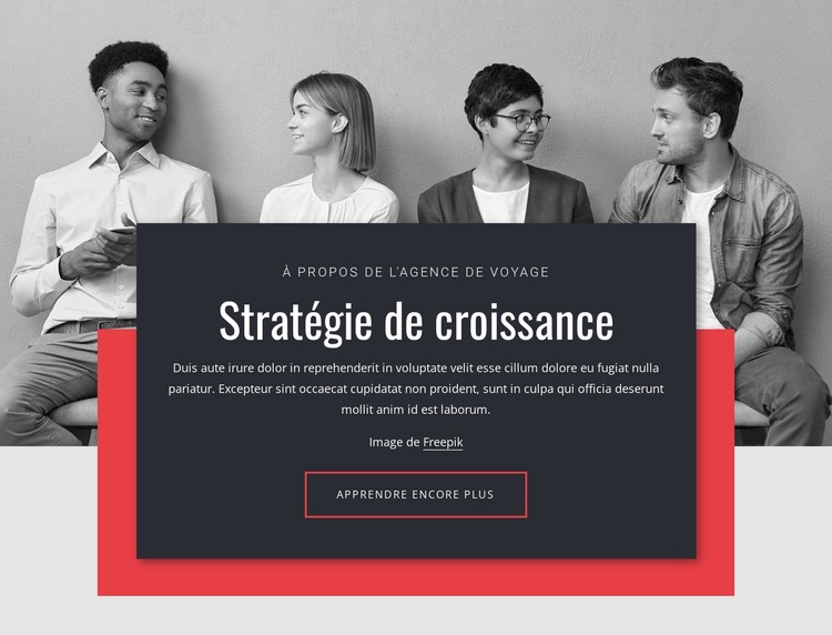 Stratégies de croissance en entreprise Modèle CSS