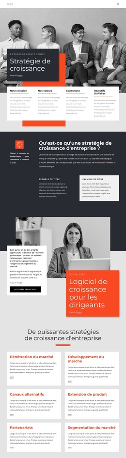 Consultants En Stratégie De Croissance – Thème WordPress Et WooCommerce