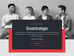 Groeistrategieën In Het Bedrijfsleven