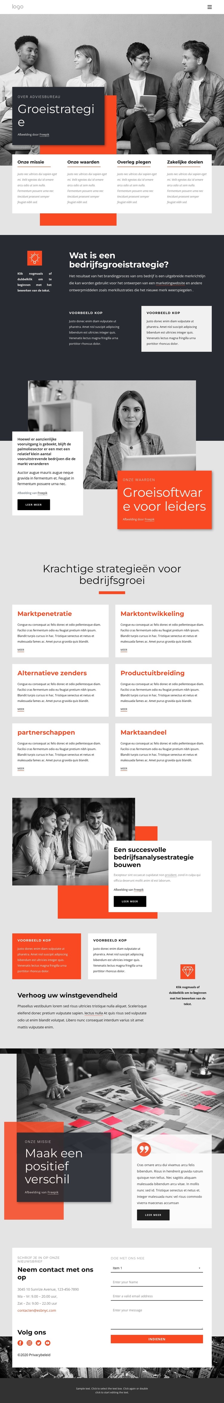 Consultants voor groeistrategie WordPress-thema