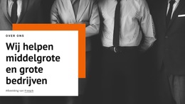 Wij Helpen Middelgrote Bedrijven - Webpaginasjabloon