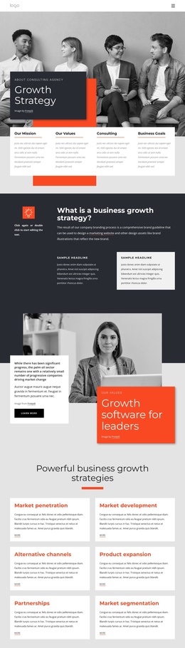 Growth Strategy Consultants - Free One Page Website