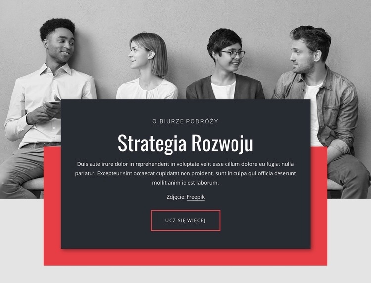 Strategie rozwoju w biznesie Projekt strony internetowej