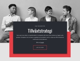 Tillväxtstrategier I Näringslivet