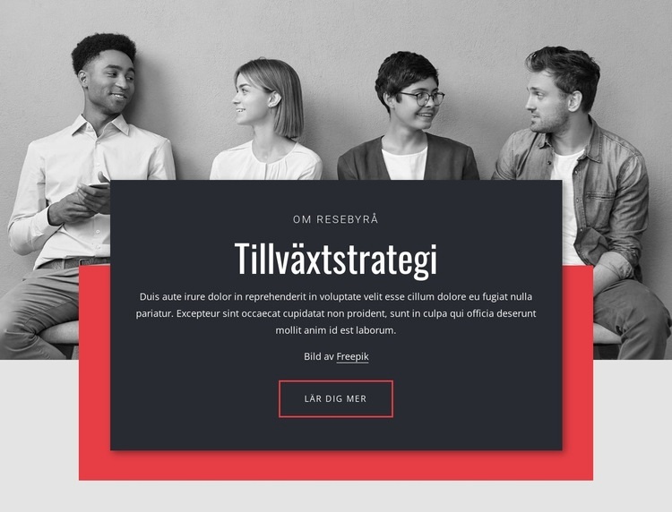 Tillväxtstrategier i näringslivet Mall