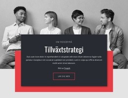 Tillväxtstrategier I Näringslivet - Lättanvänt WordPress-Tema